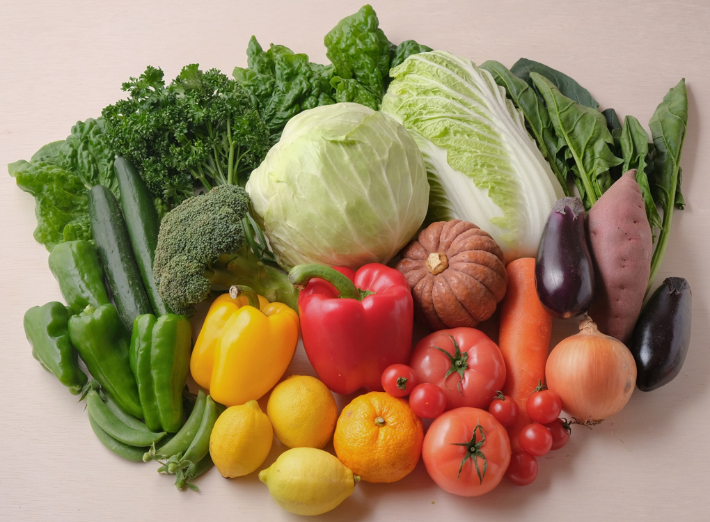 藤浪農園オンラインショップ