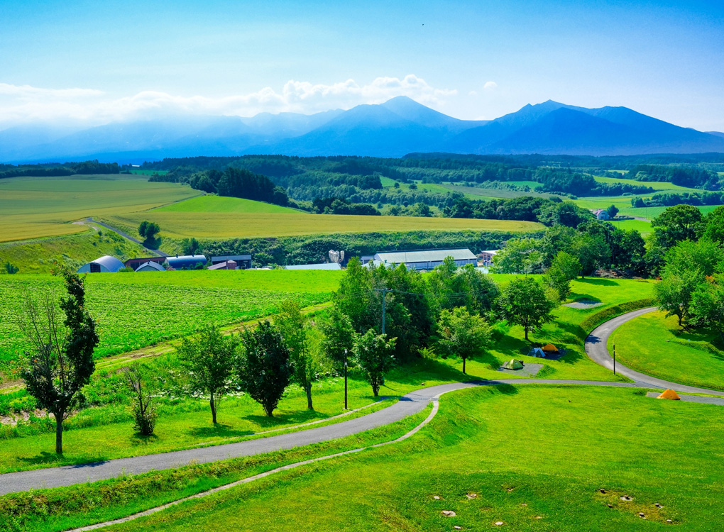ここでしか買えない商品