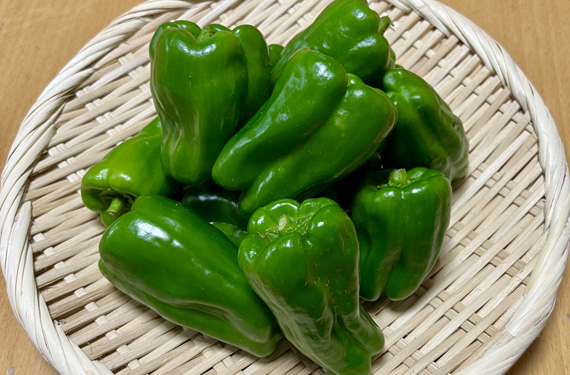 ピーマン（仕入れ）