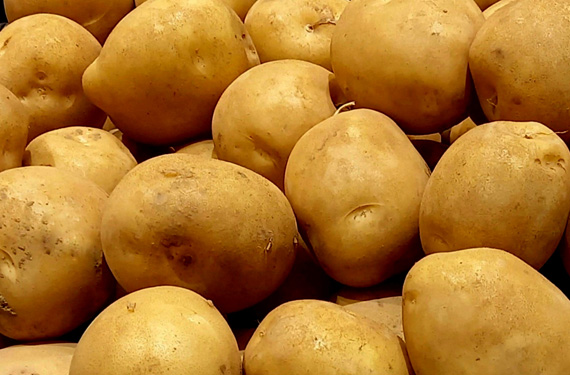 ジャガイモ（仕入れ）