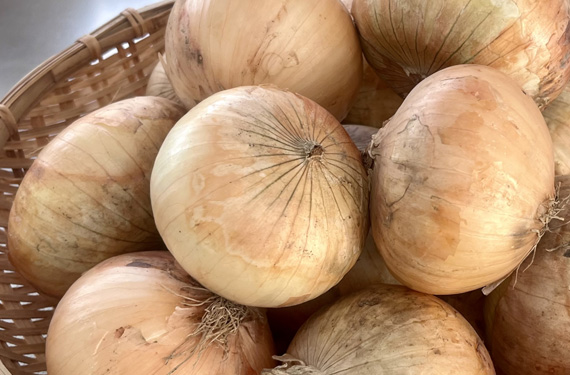 玉ねぎ（仕入れ）