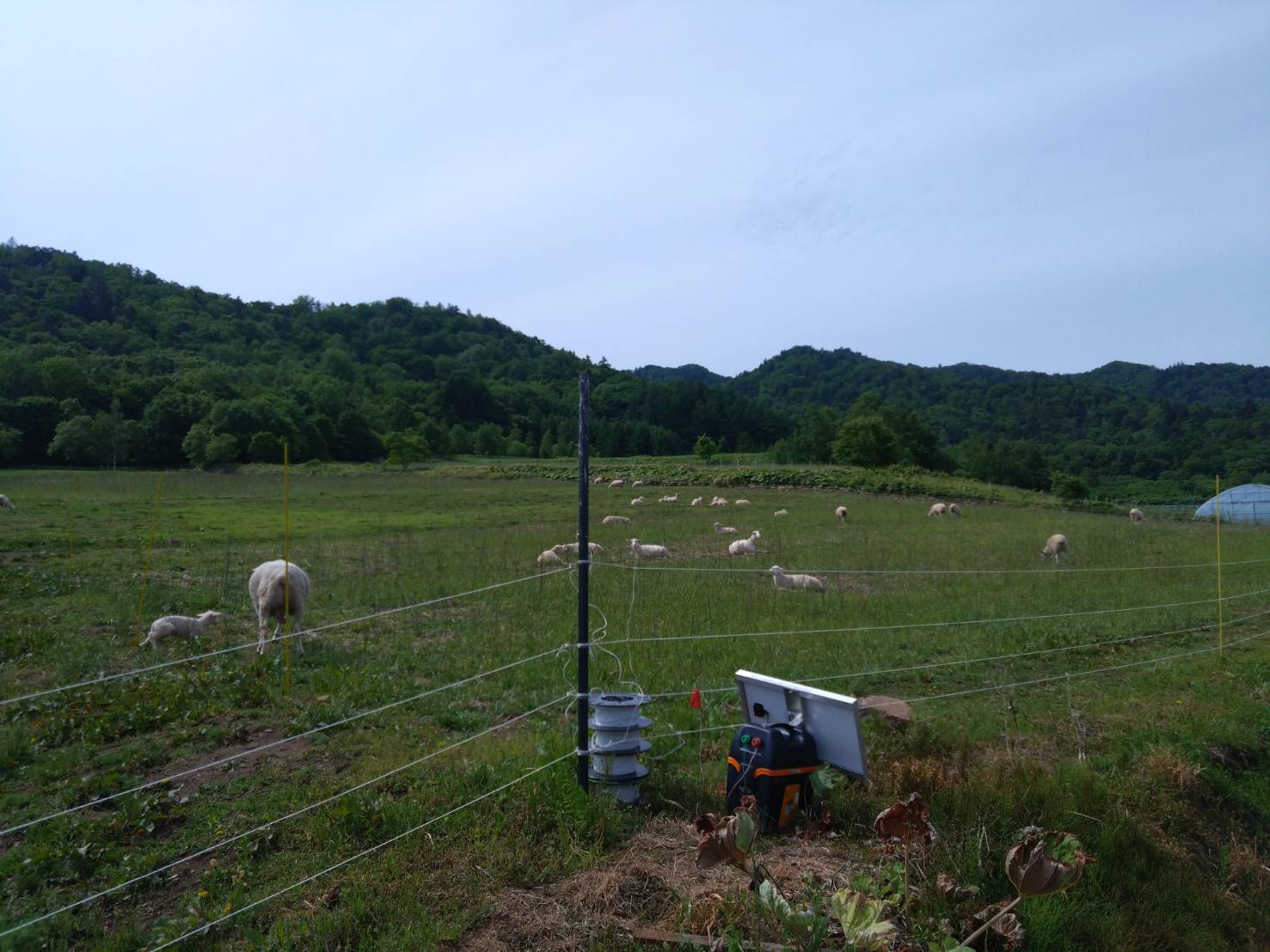 https://fujinami-farm.com