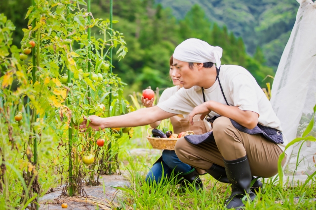農園で働くという選択。自然と向き合う仕事をはじめてみませんか？