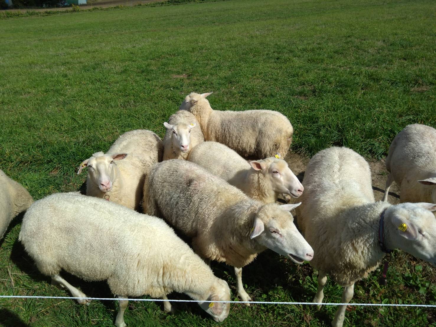 https://fujinami-farm.com