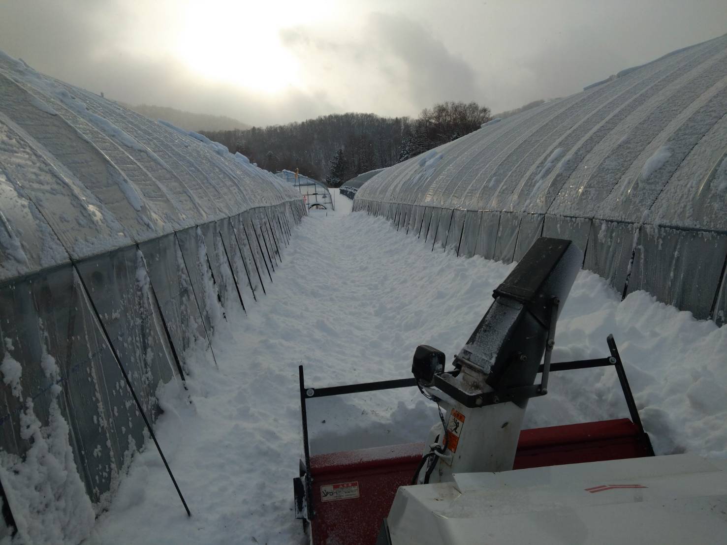 あけましておめでとうございます。