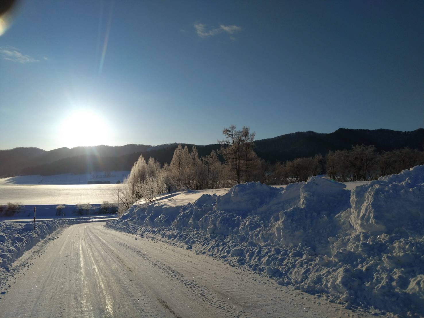 マイナス20度を超える日が何日かありました。
