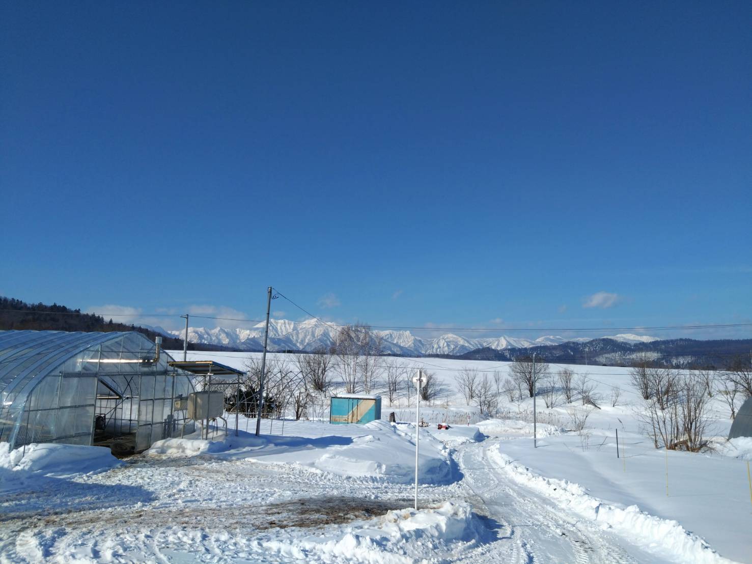 ミニトマトの育苗準備を少し早めにしています。