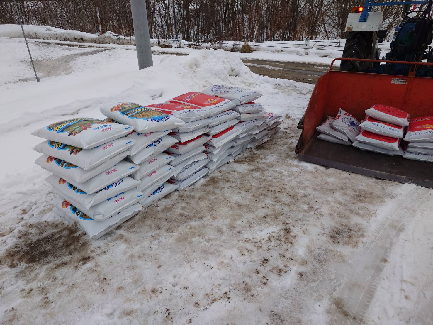 3月からミニトマトの定植に向けた作業を進めています。