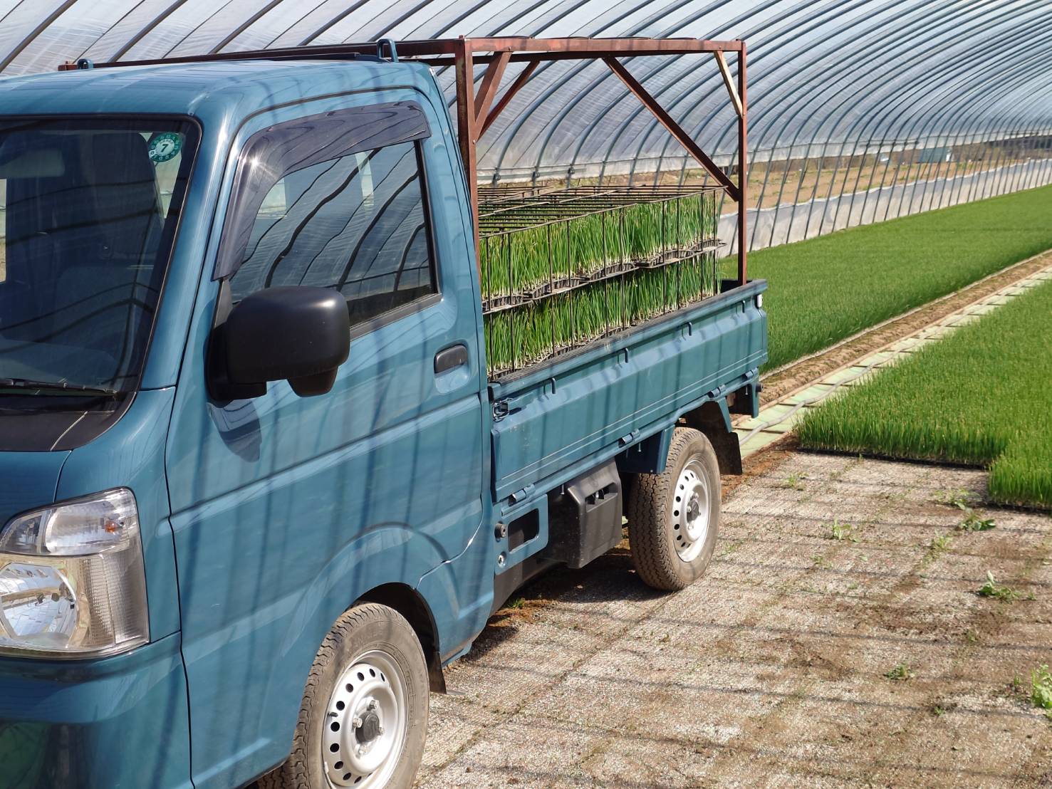 https://fujinami-farm.com
