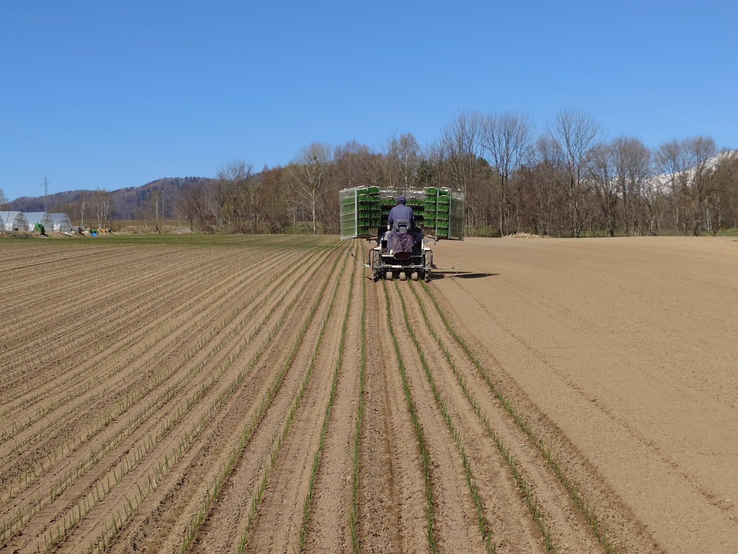 https://fujinami-farm.com