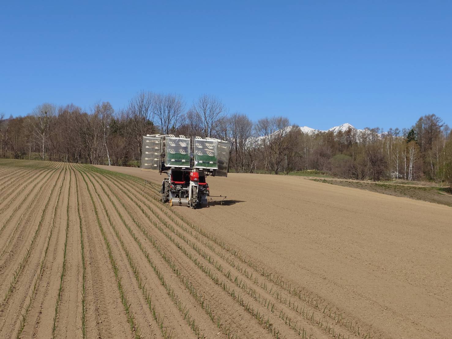https://fujinami-farm.com
