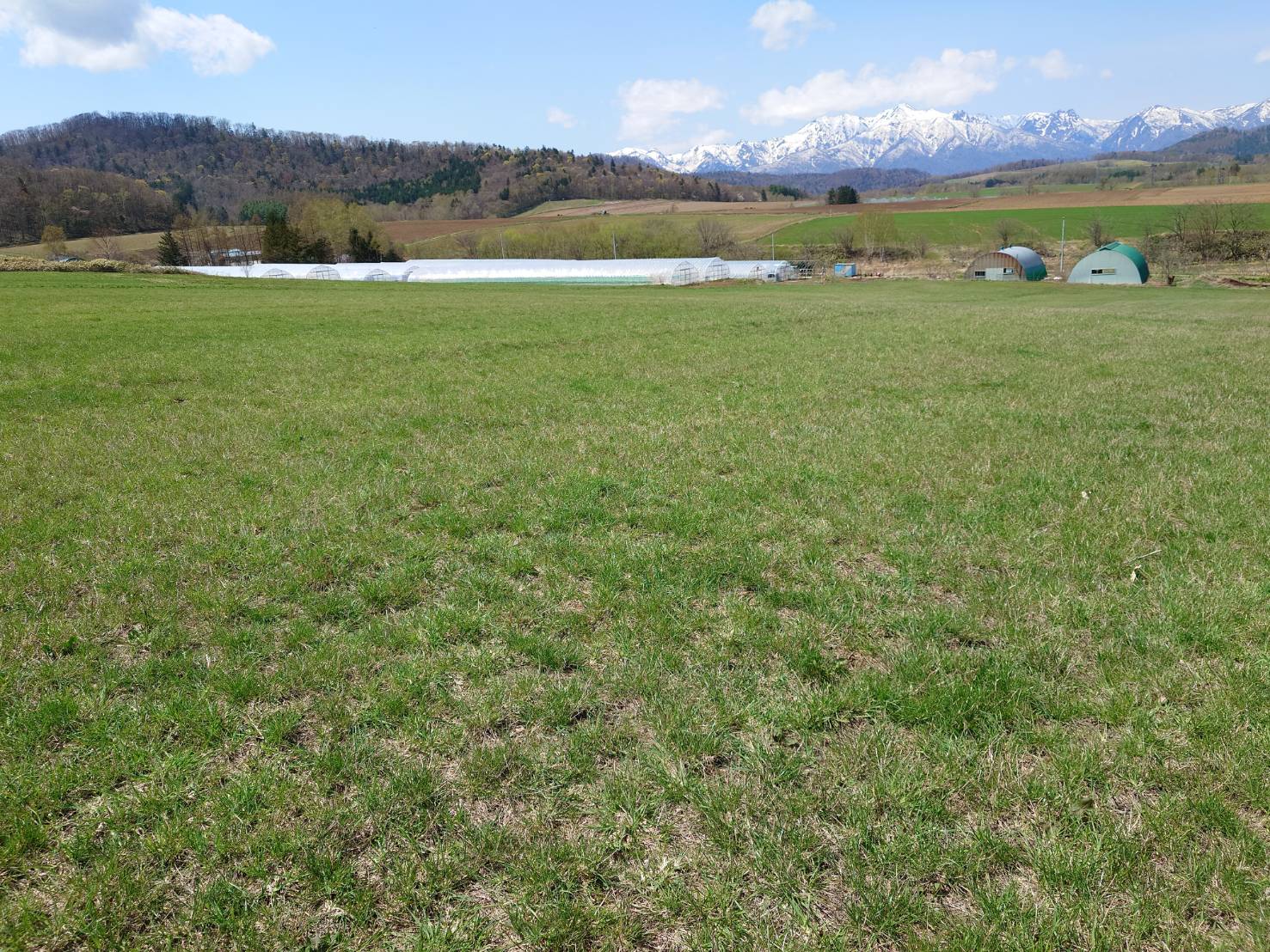 https://fujinami-farm.com