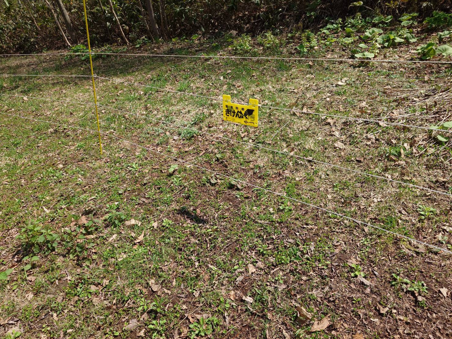 https://fujinami-farm.com