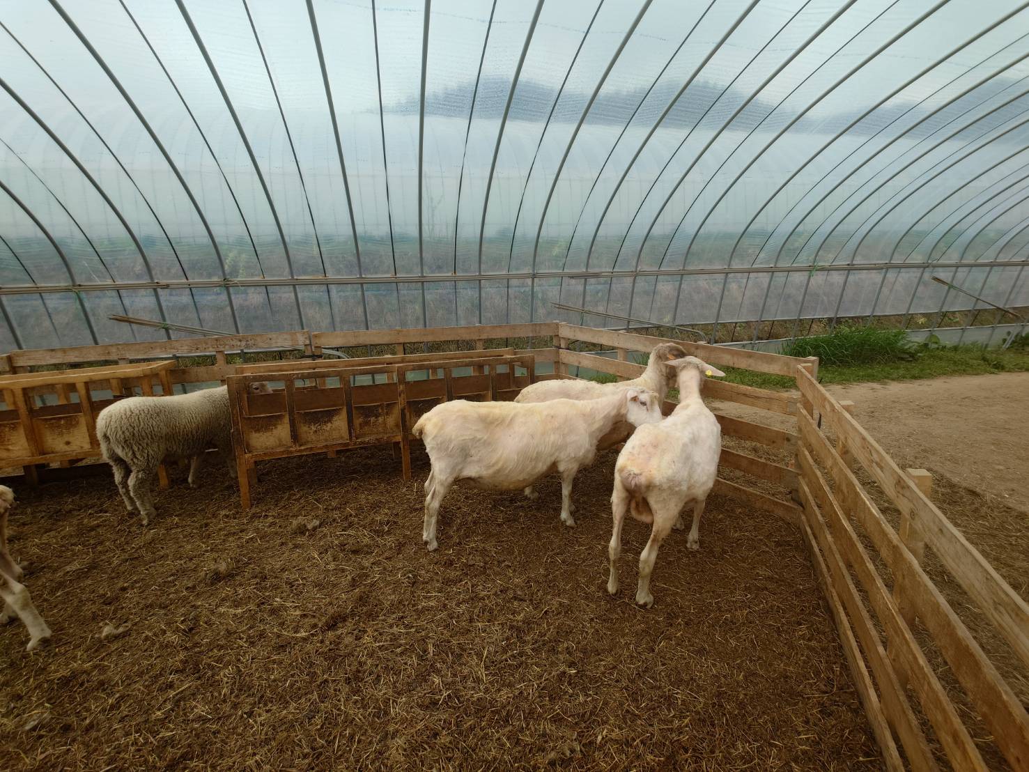 https://fujinami-farm.com