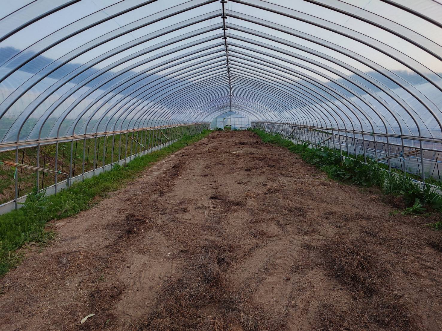 https://fujinami-farm.com