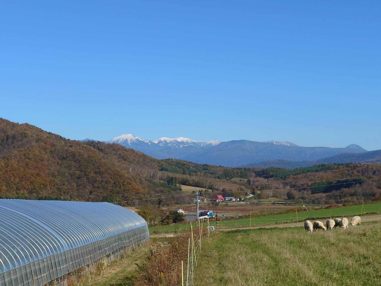 https://fujinami-farm.com