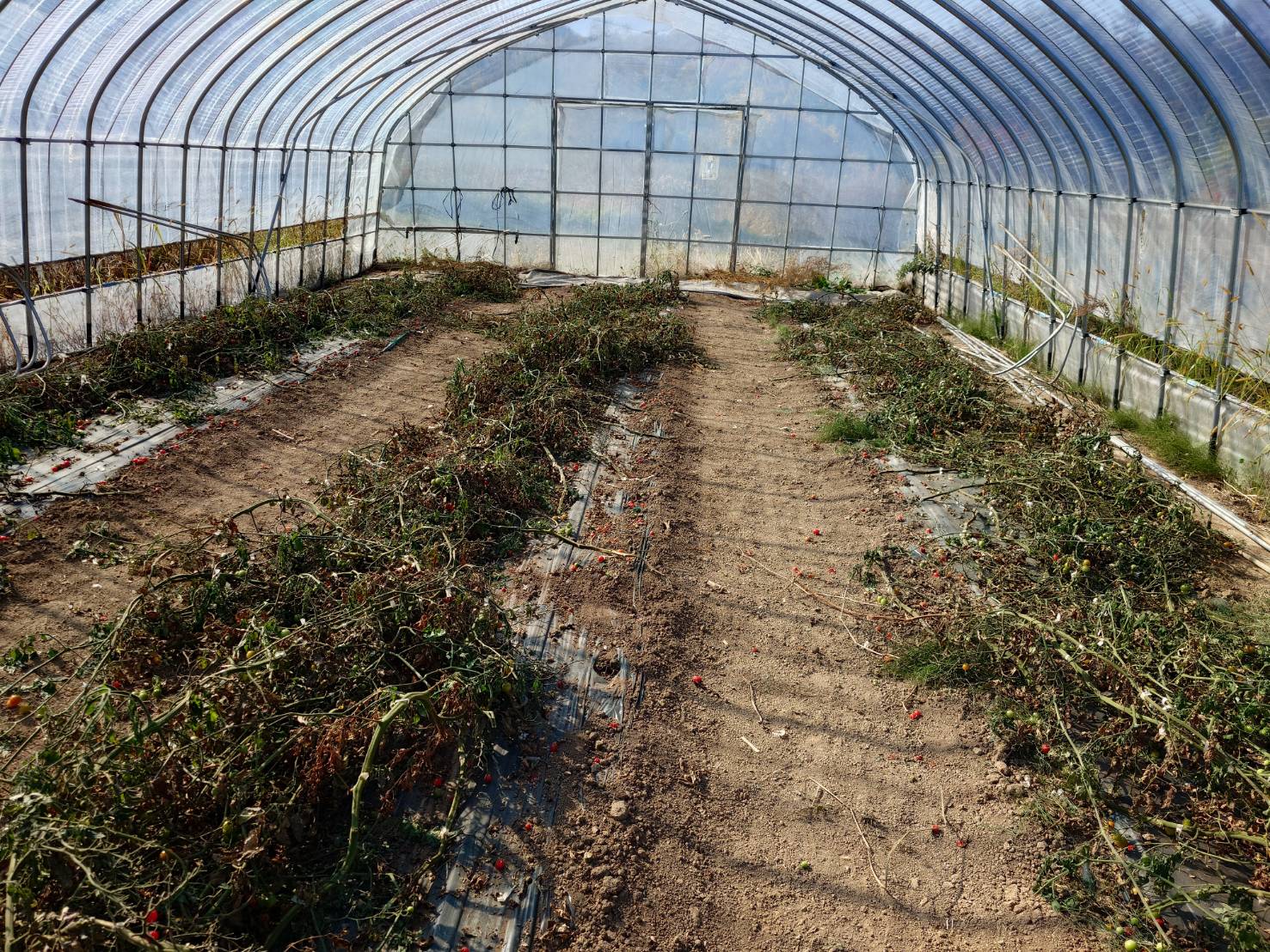 https://fujinami-farm.com