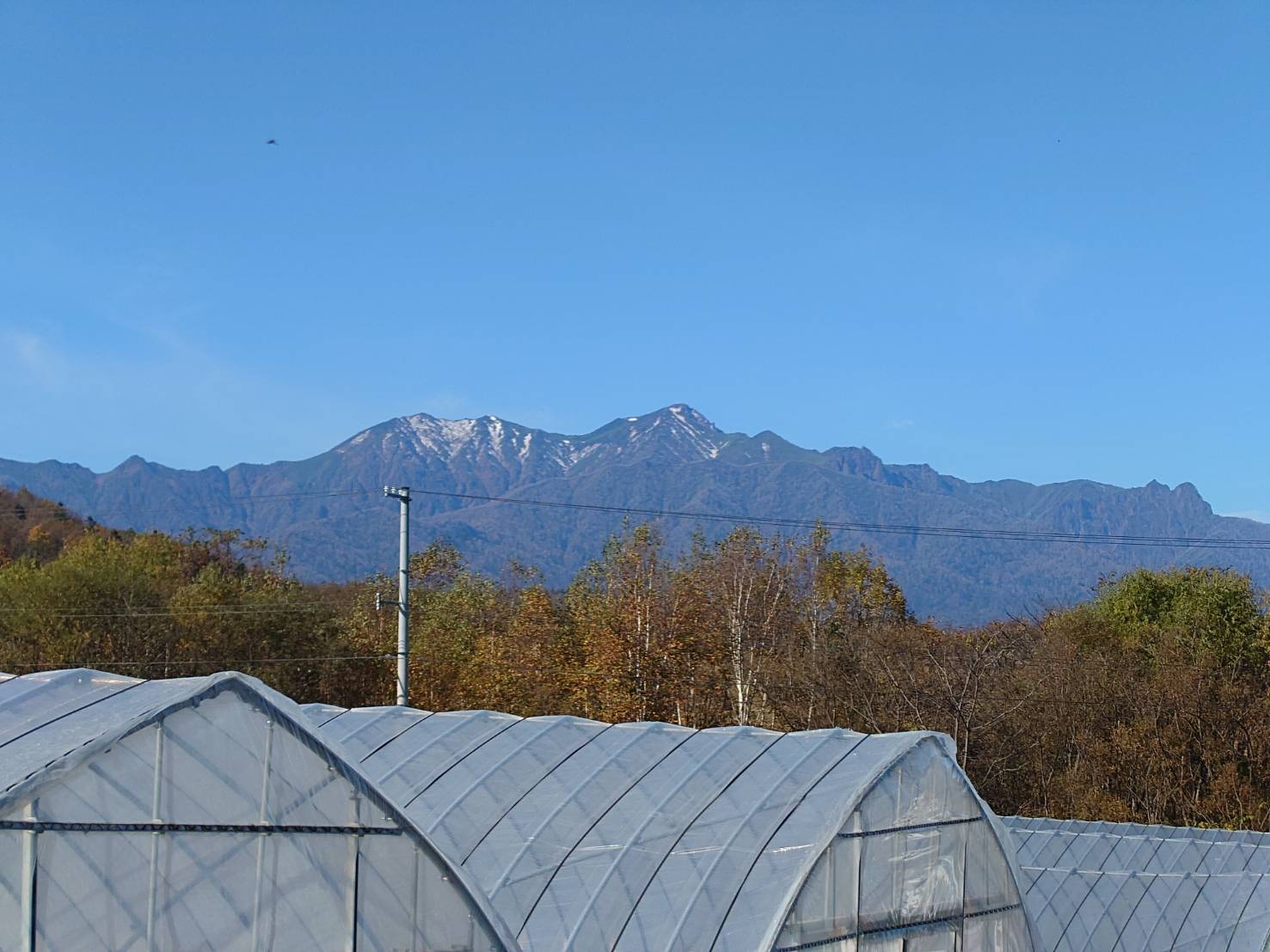 https://fujinami-farm.com